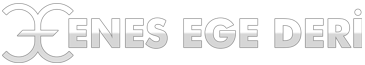 enesegederi-logo